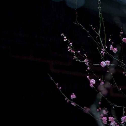  نزدیک دو دهس مریض شدمو حرفایی هست که نمیشه